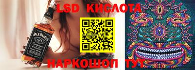 стаф Гай