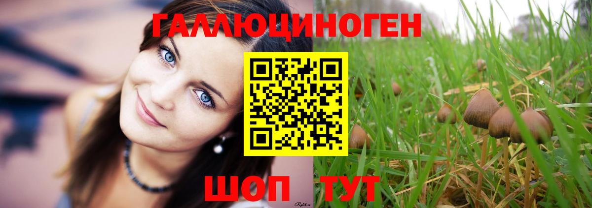 Псилоцибиновые грибы Magic Shrooms  Вход с VPN  Воронеж 