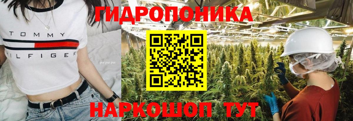 Канабис гибрид Воронеж